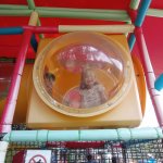 phoca_thumb_m_vp- 4. den  260 Fotogalerie